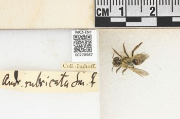 Media type: image;   Entomology 770567 Aspect: Labels